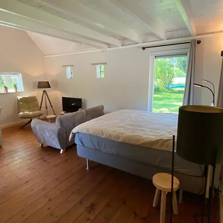 Jouwvakantiehuisnl- Accommodatie De Hondstong Vries Exterior photo